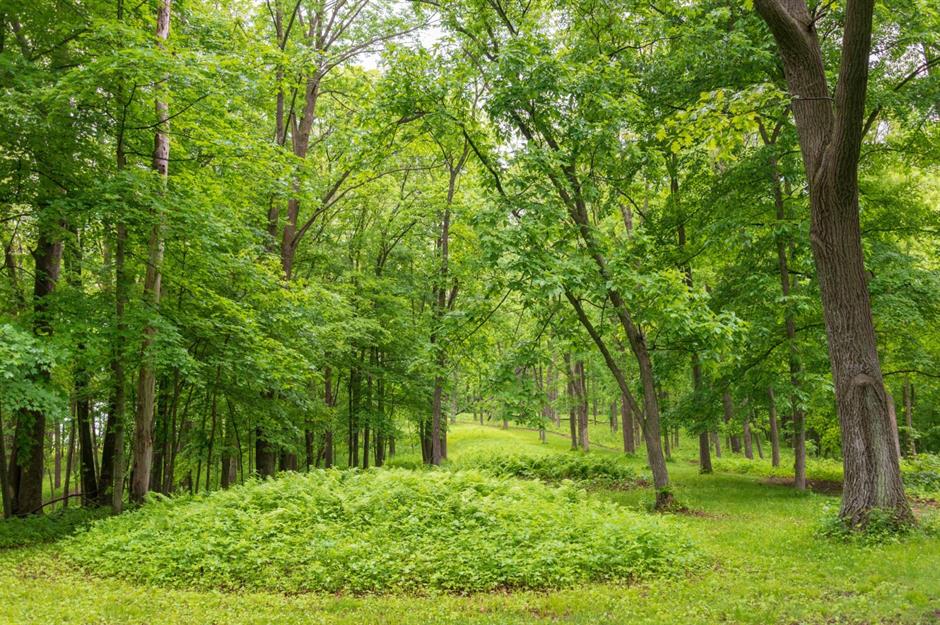 Iowa: Effigy Mounds